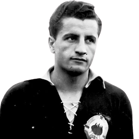 Beara Vladimir