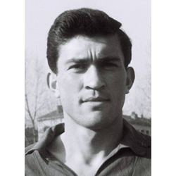 Maravić Dušan