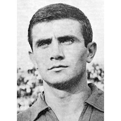 Melić Vojislav