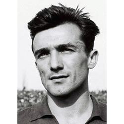 Veselinović Todor