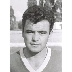 Živanović Todor