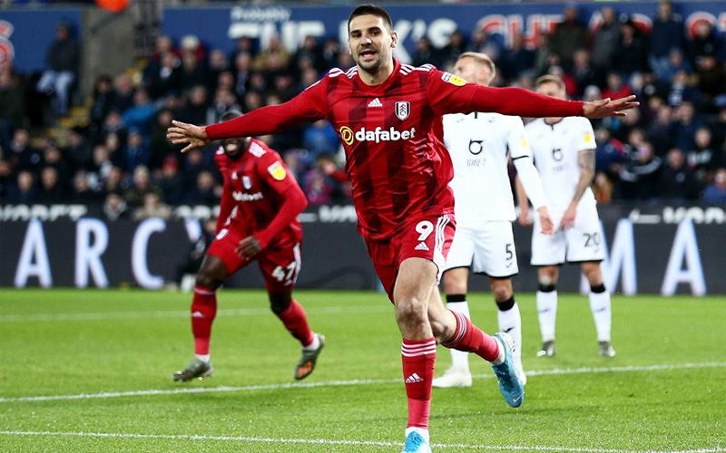 Mitrović "očerupao" labudove (VIDEO)